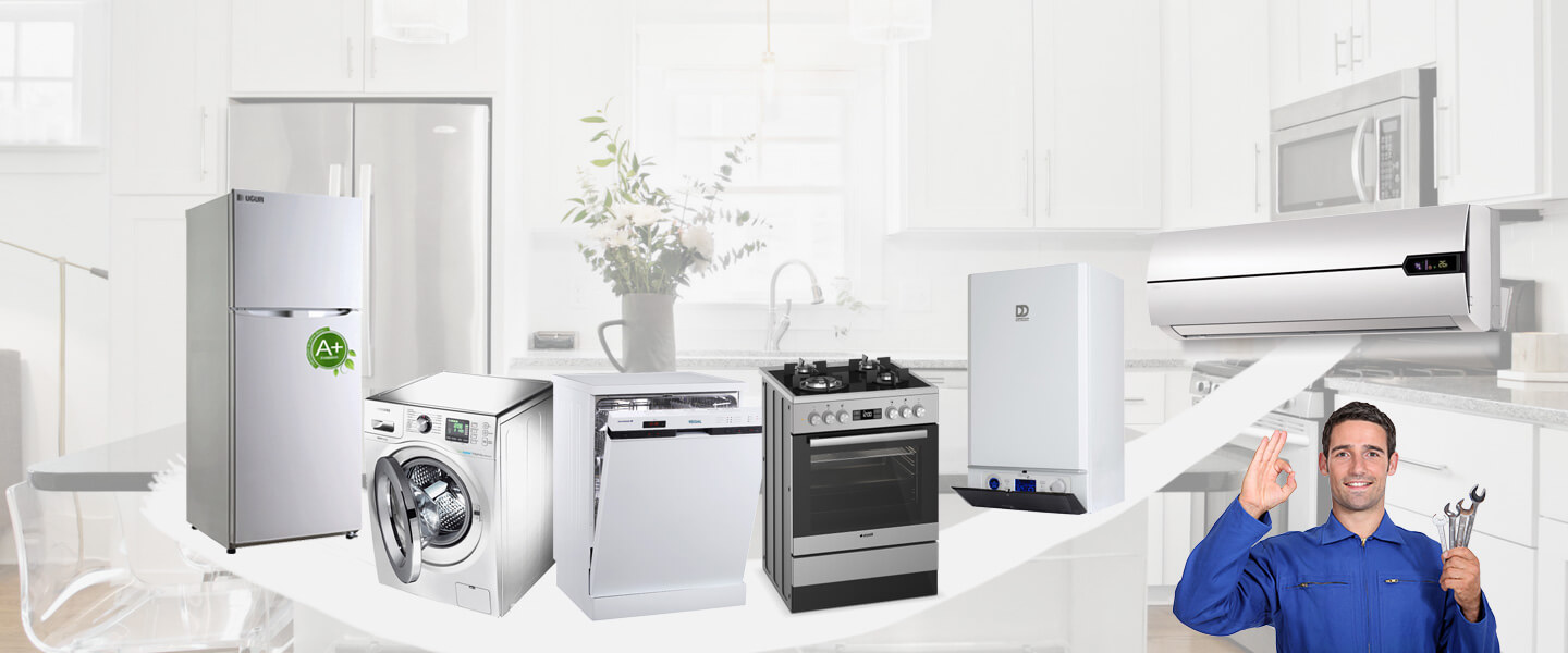 Asarlık Electrolux Servisi